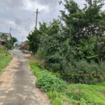 前面道路　北道路・西側から撮影
