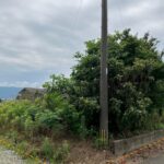 北東から撮影