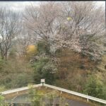 眺望_2階ホールから望む景色です！