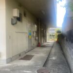 1階廊下