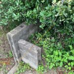 南隣地との境界