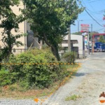 前面道路_東→西を撮影