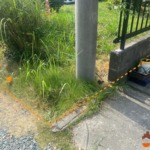 現況写真_道路側、敷地西側